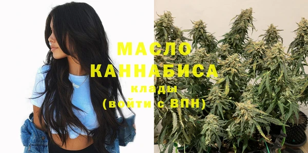 гидра Кулебаки