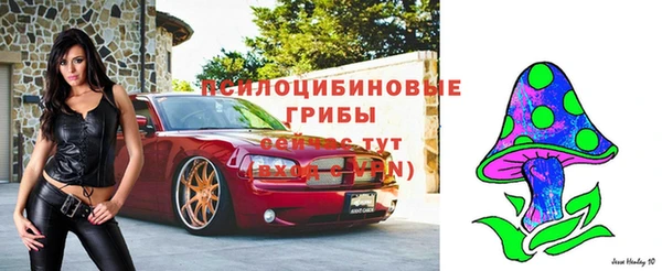 гидра Кулебаки