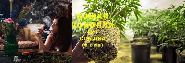 соль ск Кукмор