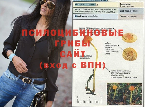 соль курить ск Лагань