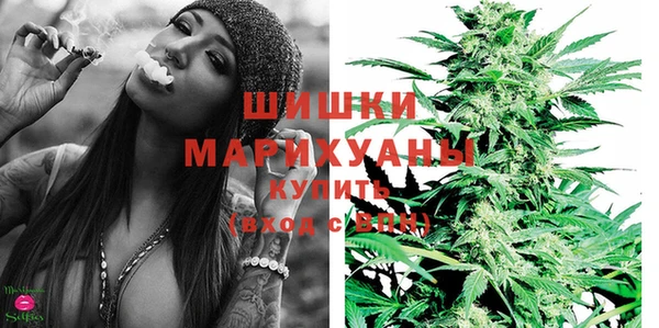 гидра Кулебаки