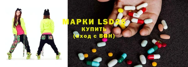 гидра Кулебаки