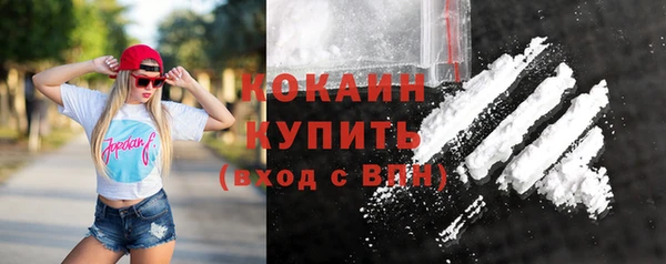 гидра Кулебаки