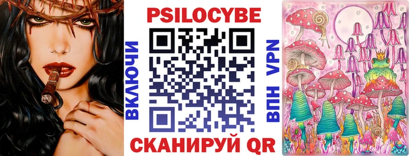 Псилоцибиновые грибы Psilocybe  как найти   Котельниково 